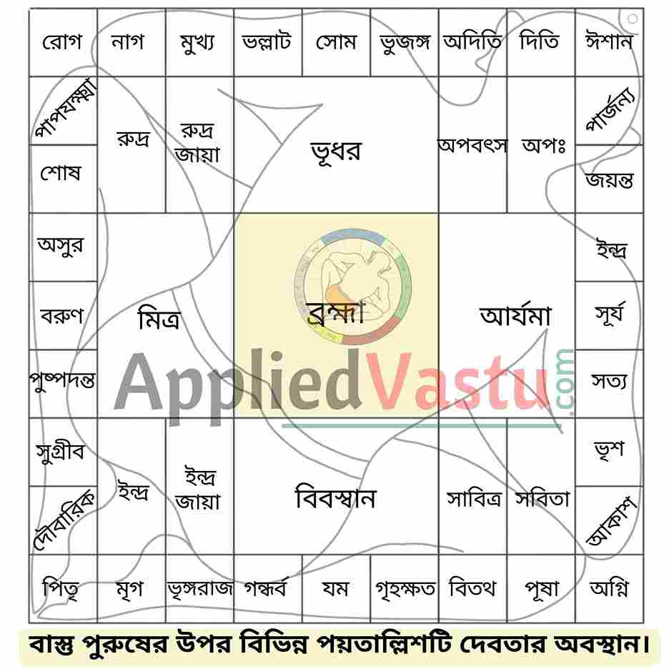 vastu purusha mandala-vastu purush image-bengali-bangla-AppliedVastu